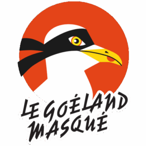 logo goéland masqué
